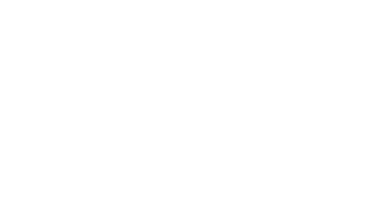 Media's Cup