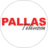 L'équipe de Pallas Television - Media's Cup